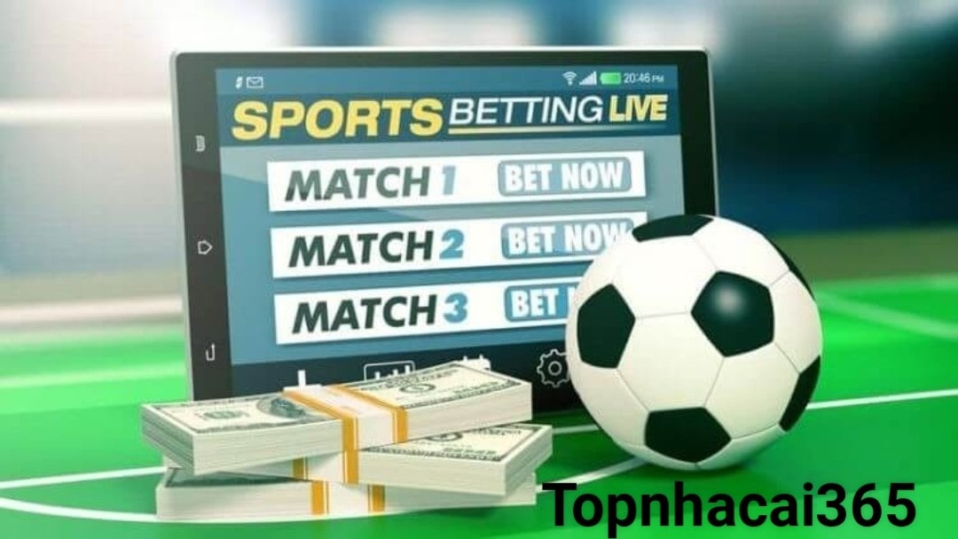 Nhà cái Topnhacai365 là sảnh cá cược uy tín số 1
