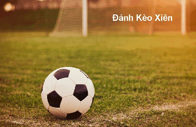 Lưu ý tìm nhà cái cược xiên uy tín để tránh mất tiền oan